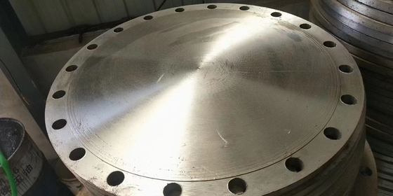 Blinde de Flenspijpleiding Pn10 Pn16 Pn25 Pn100 van het roestvrij staalKoolstofstaal