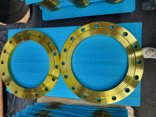 BS4504 DIN Pn16 Plaat RF 304 Roestvrij staalflens 316L voor de petrochemische industrie