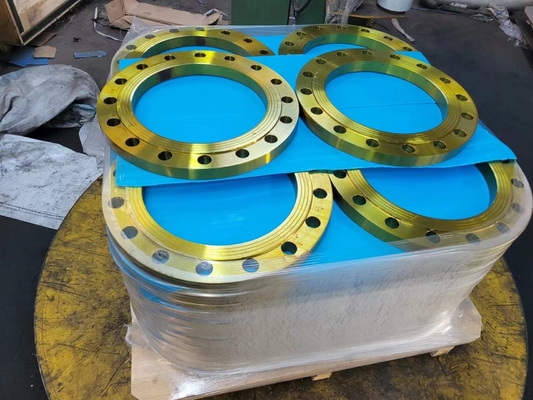 BS4504 DIN Pn16 Plaat RF 304 Roestvrij staalflens 316L voor de petrochemische industrie