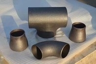 De Naadloze buiselleboog 45 Graad 325x8mm A403 WP304 van SCH60 SCH100
