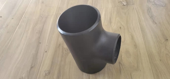 ANSI SCH40 SCH80 SCH160 Gelijke T-stukpijp Gezandstraalde XSDIN JIS GOST 22mm
