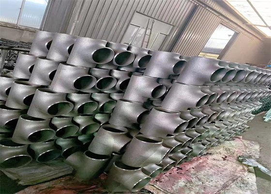 Het Koolstofstaalt-stuk A234 WPB van P265GH P355GH voor Farmaceutische Industrie